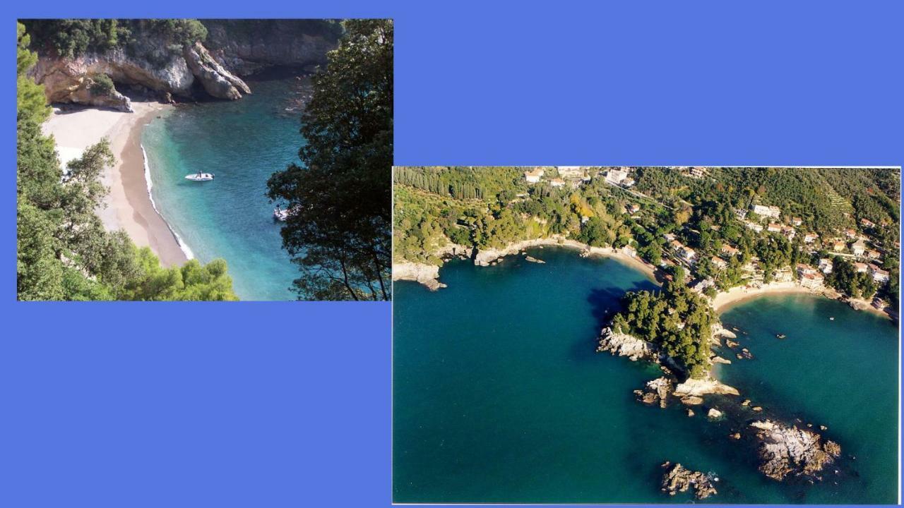 Lusso Accessibile E Servizi Lerici Luaran gambar