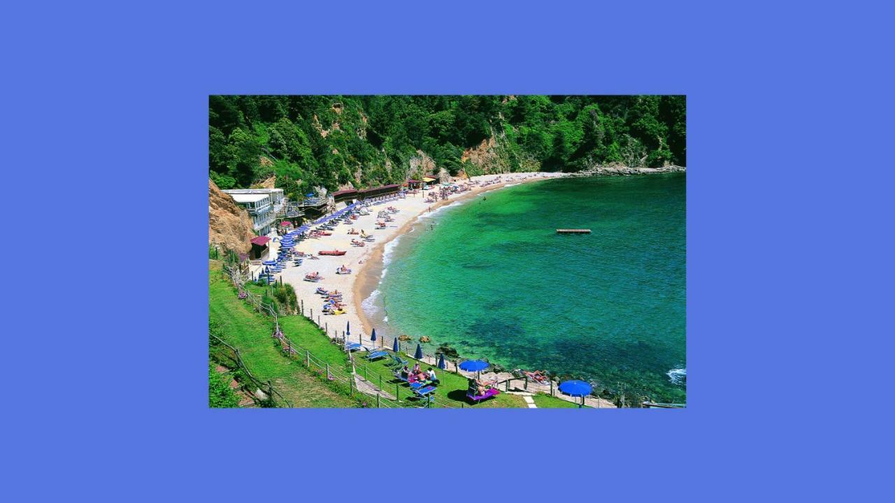 Lusso Accessibile E Servizi Lerici Luaran gambar